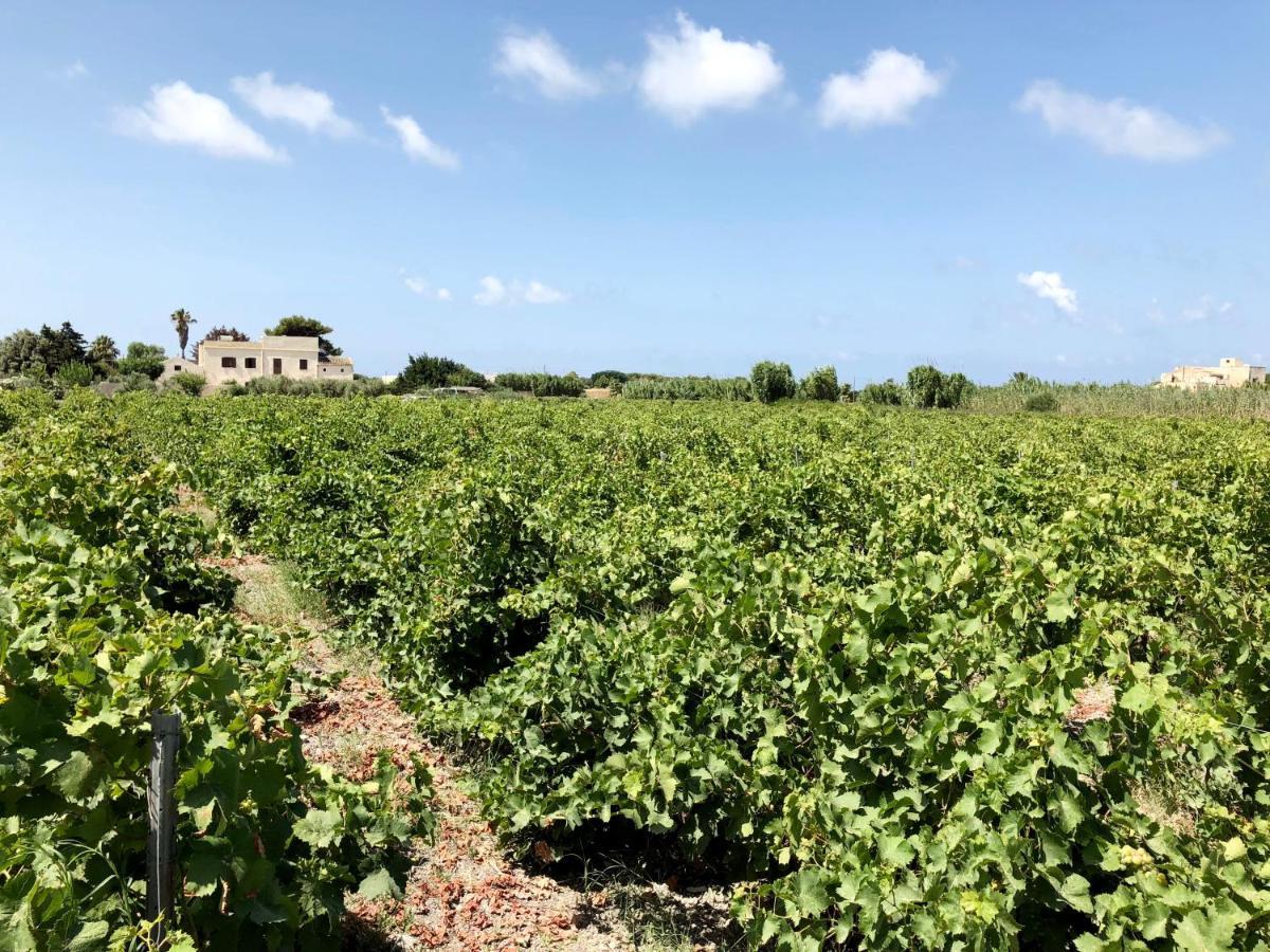 Villa Salinara Marsala Eksteriør billede