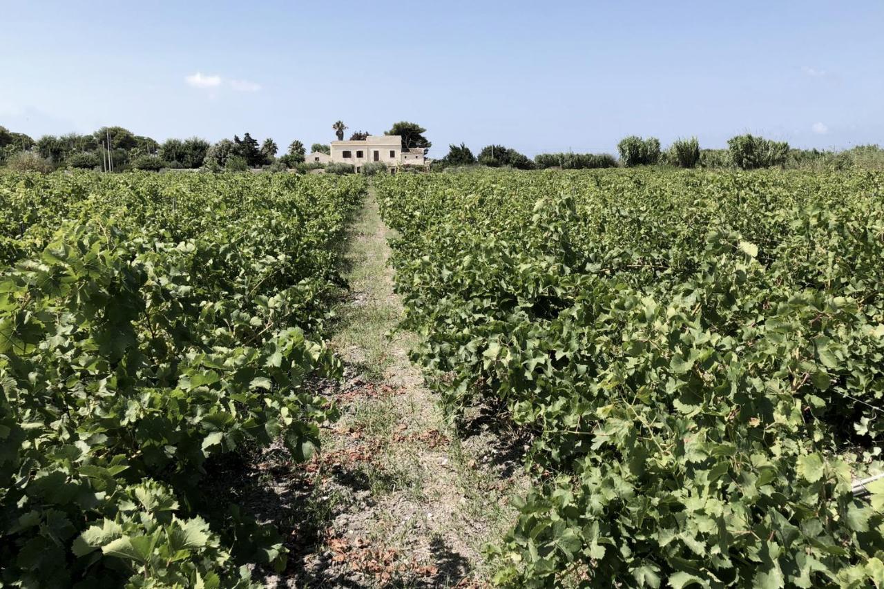 Villa Salinara Marsala Eksteriør billede